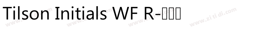 Tilson Initials WF R字体转换